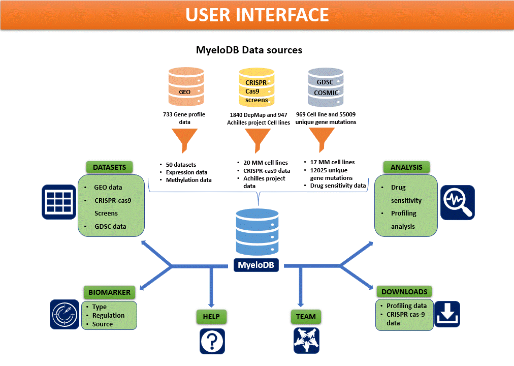 user_interface