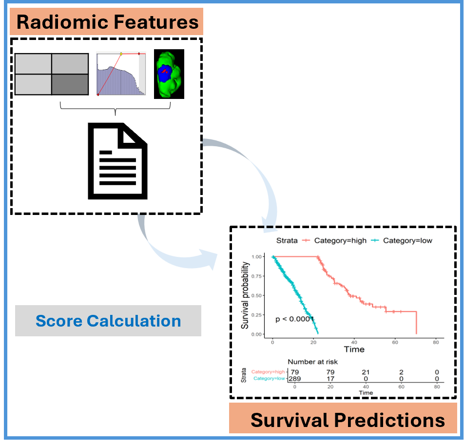 Radiomic Features to Survival Prediction