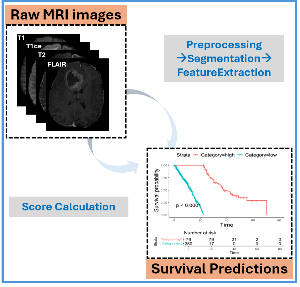 Raw MRI to Survival Prediction