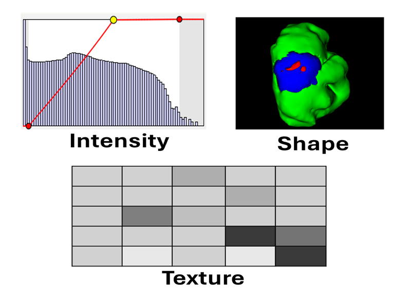 Radiomic Image 1