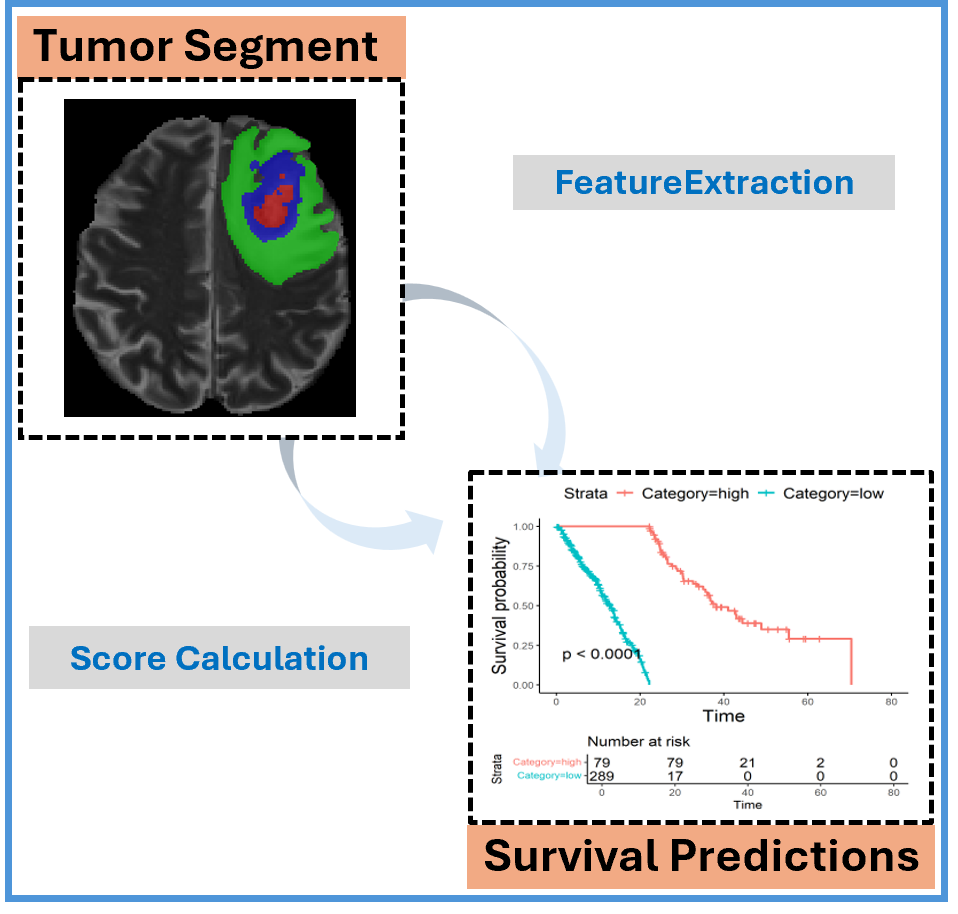 Segmented Tumor to Survival Prediction