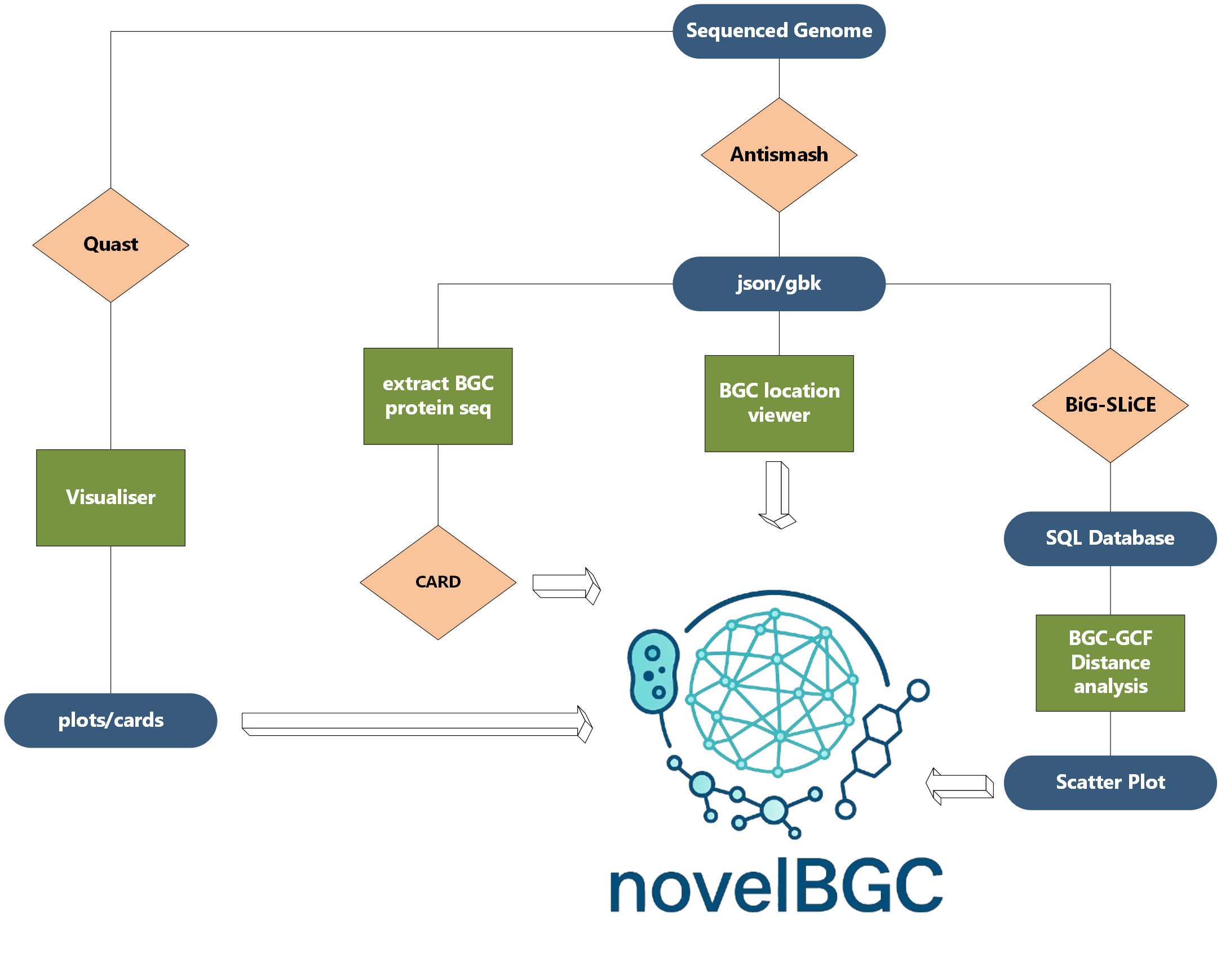 novelBGC Workflow